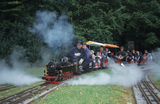 Dampfbahn in Friedrichsruhe
