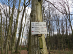 Limes_Blick_Zweiflingen_7