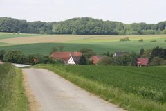Am Limes grenzenlos 2013: der Limesverlauf bei Westernbach